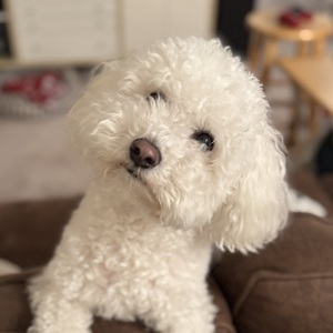 Fundraising Page: Colin Byrne